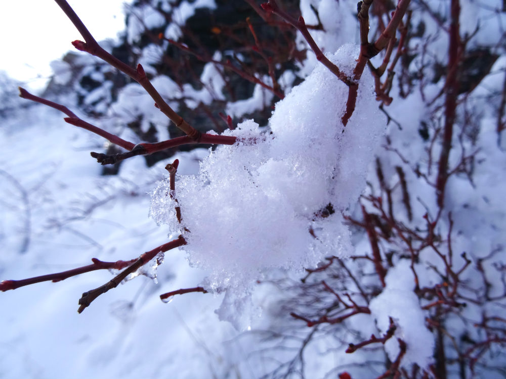 Alpes en hiver - marie havard photographie - les cris dans les mots