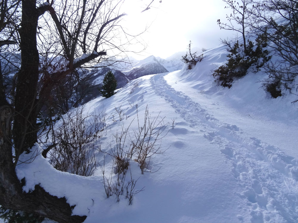 Marie Havard Photographie hiver - les cris dans les mots