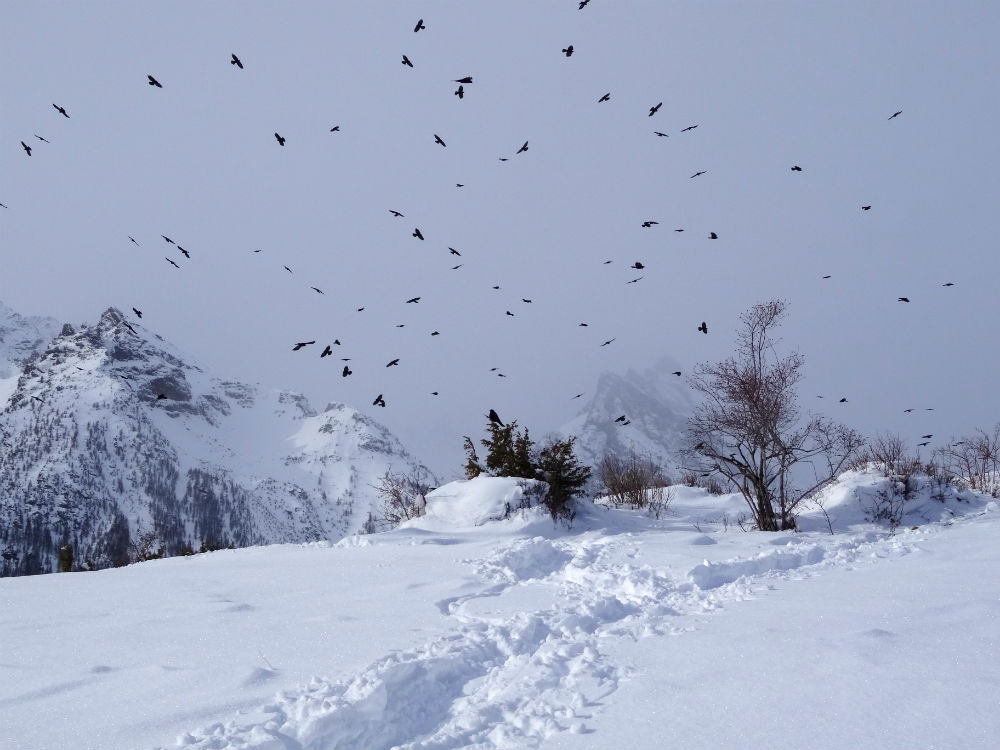 Alpes en hiver - marie havard photographie - les cris dans les mots