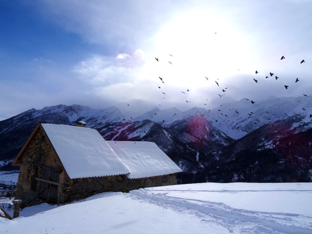 Alpes en hiver - marie havard photographie - les cris dans les mots