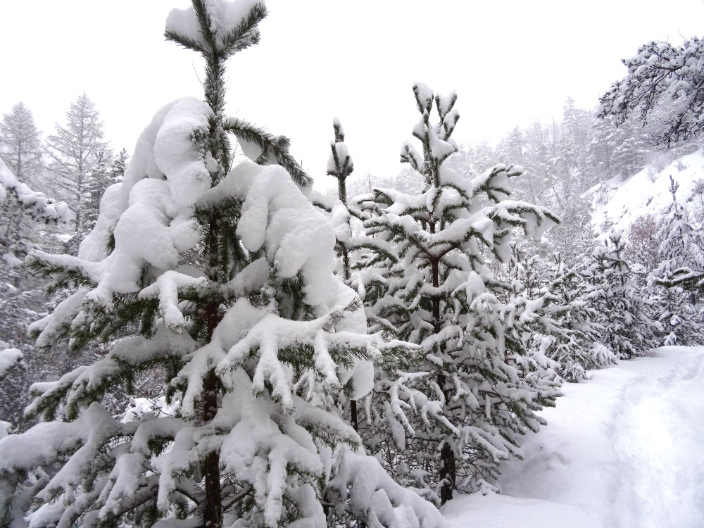 Alpes en hiver - marie havard photographie - les cris dans les mots