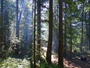 Camping sauvage à 2 h de Vancouver