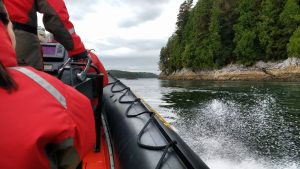 Excursion Baleine Tofino Ile de Vancouver - zodiaque