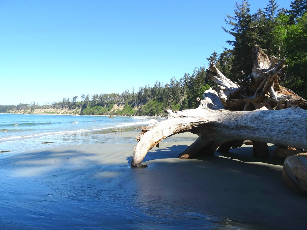 Halfmoon Bay Beach - Île de Vancouver