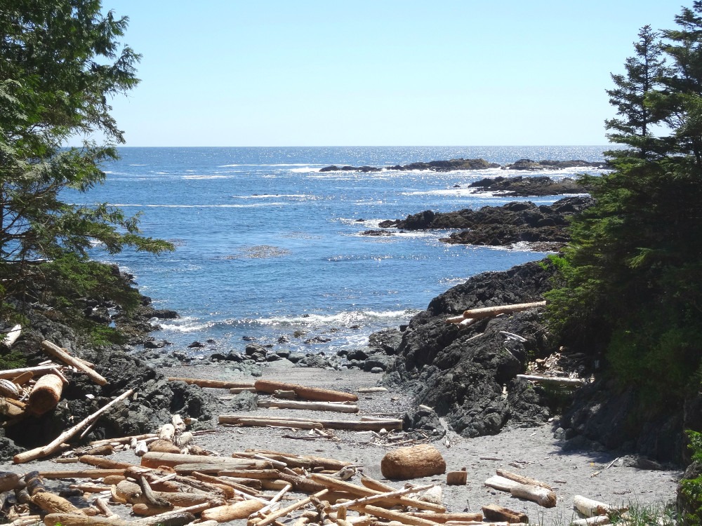 Wild Pacific Trail Ucluelet - Île de Vancouver