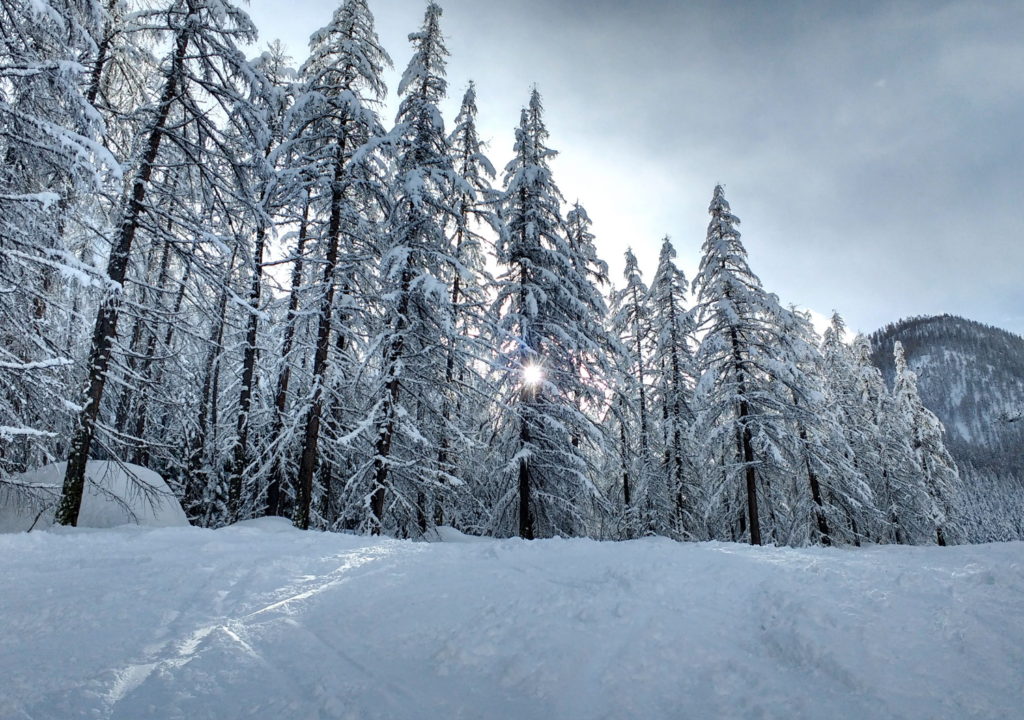 Piste de ski La Tabuc - Le-Monêtier-les-Bains