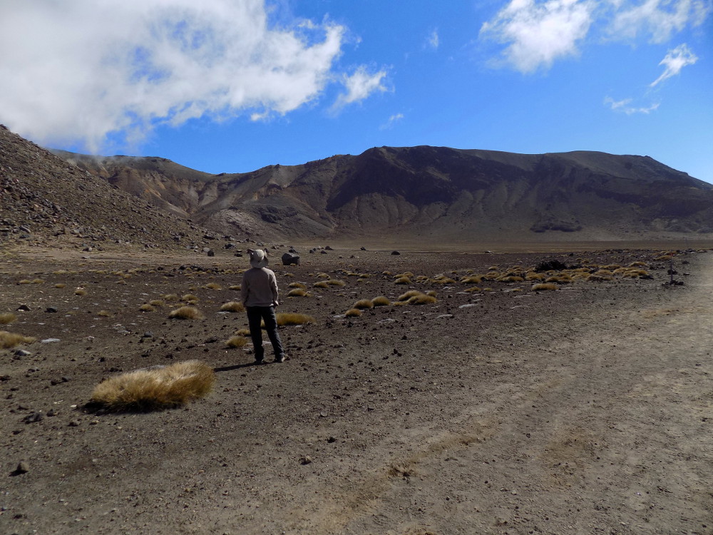 Tongariro Alpine Crossing : intérieur South Crater