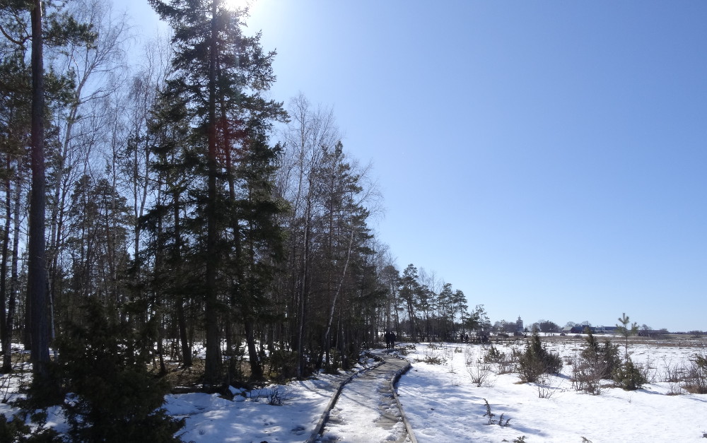 Réserve naturelle du lac Tåkern