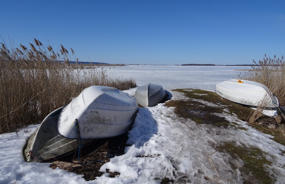 Réserve naturelle du lac Tåkern