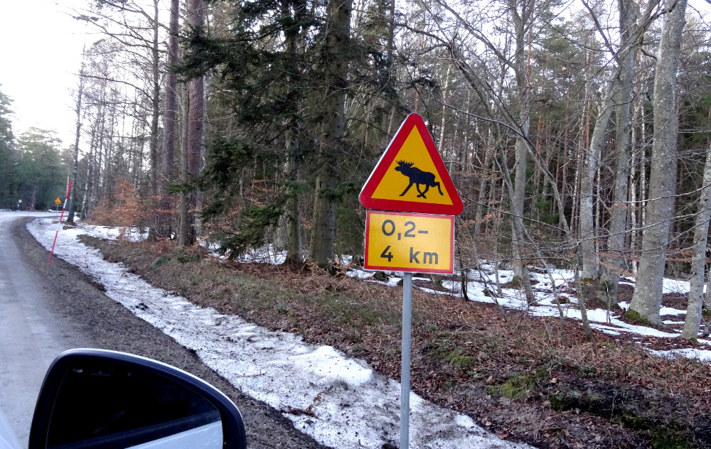 Panneau attention traversée de rennes, suède