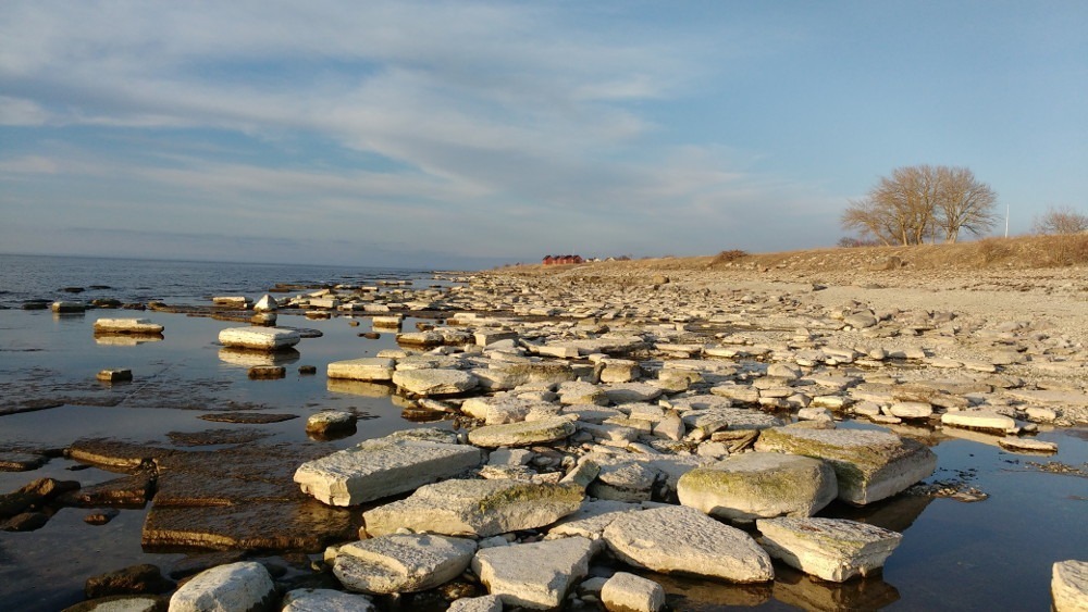 Les champs de Neptune, « Neptuni Akrar », Öland, Suède