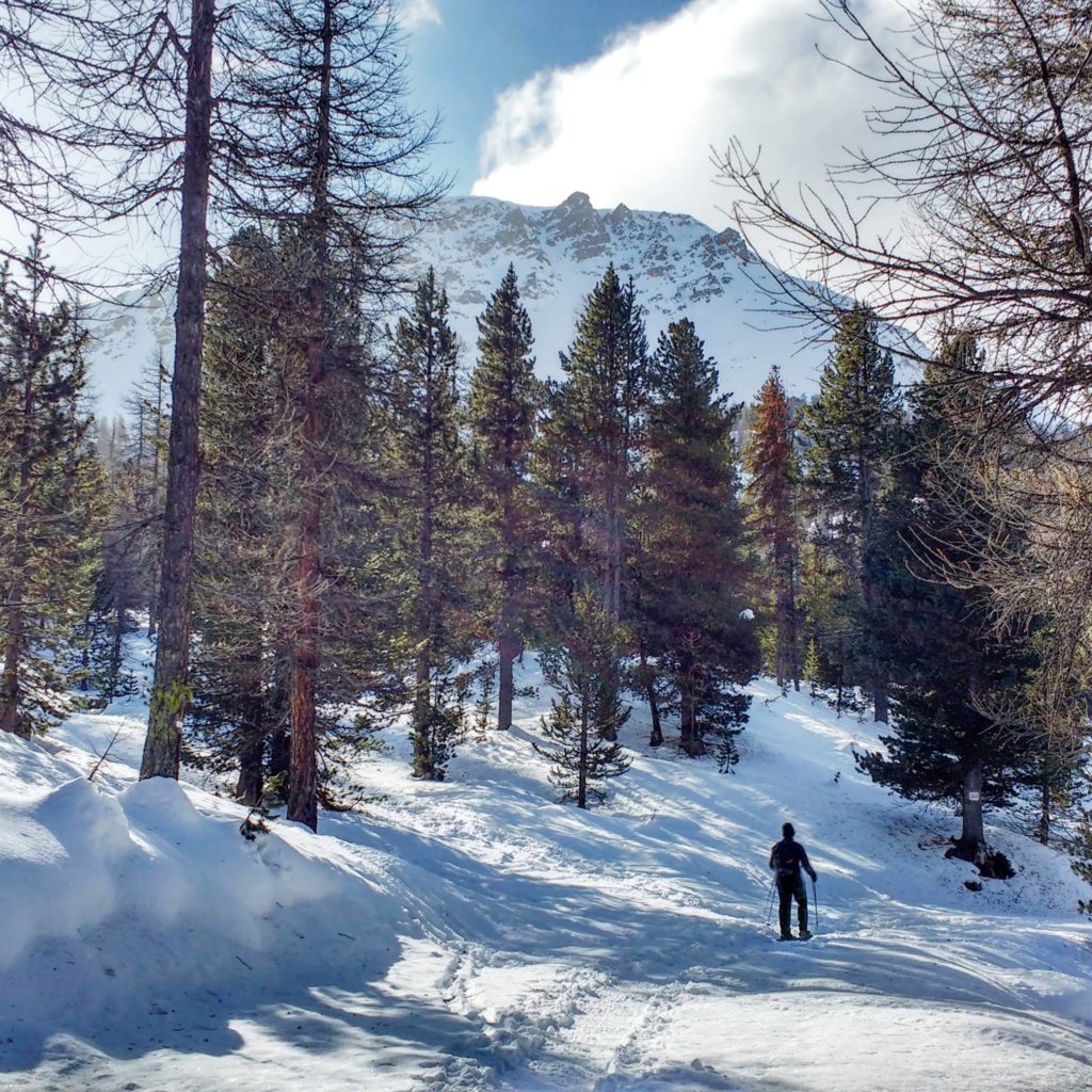 Montée en raquettes aucol de l'Izoard