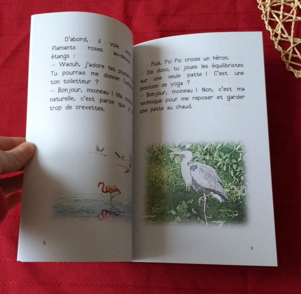Pic Pic le moineau - livre papier – Image 4