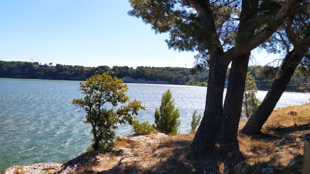 Parc dinosaure - vue sur l'étang