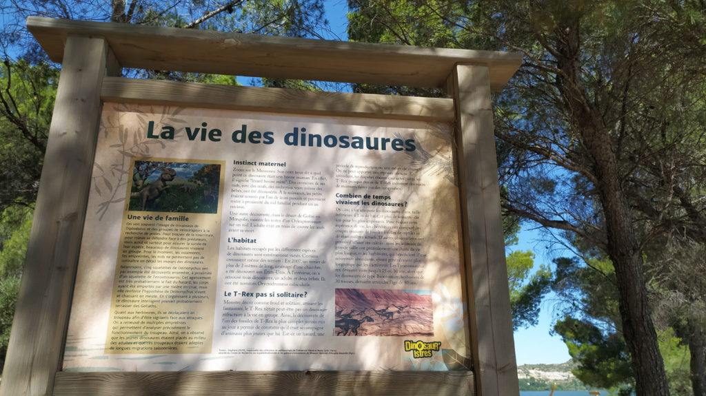 Contenus pédagogiques - parc dinosaures Istres