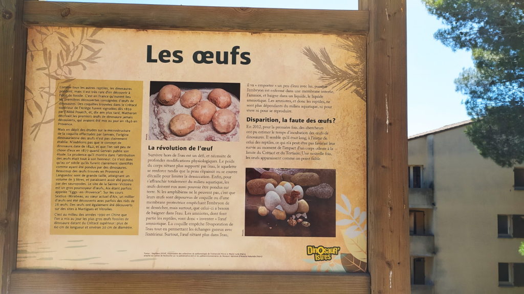 Contenus pédagogiques - parc dinosaures Istres