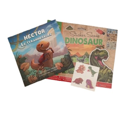 Pochette cadeau / Box dinosaure, enfant 3 à 6 ans
